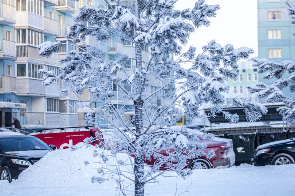 Фото: Денис Шмаков