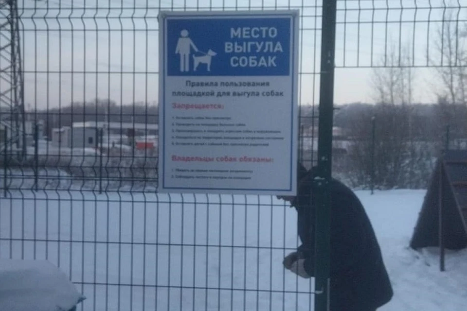 В Костроме открыли площадку для выгула и дрессировки собак. ФОТО: администрация Костромы