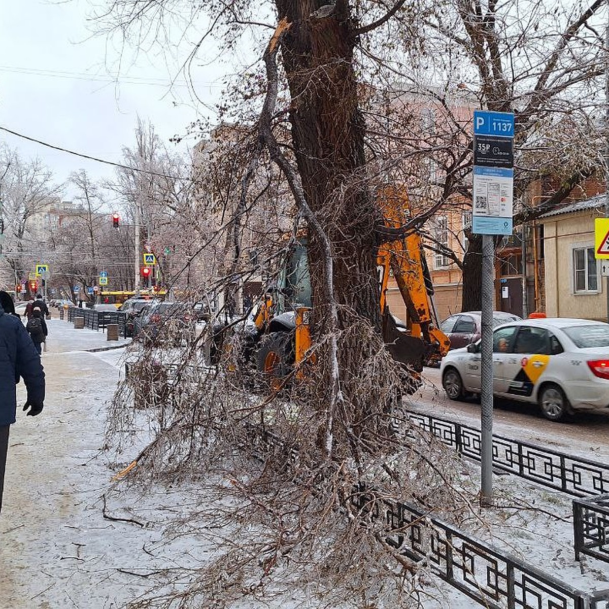 Кадры последствий ледяного дождя в Ростове-на-Дону: гололед, поваленные  деревья и проблемы со светом - KP.RU