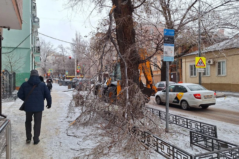 В Ростове на третий день ледяного дождя от тяжести стали падать ветви деревьев и рваться электропровода.