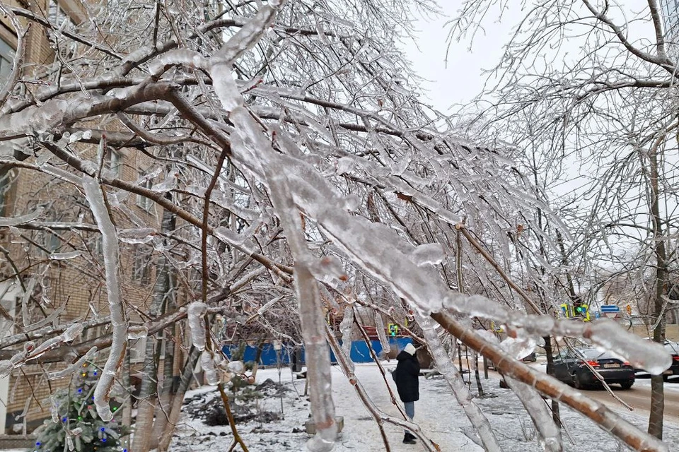 Жители Ростова-на-Дону останутся без электричества