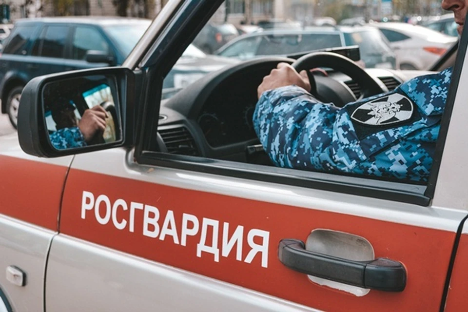 Фото: Пресс-служба Управления Росгвардии по Республике Коми