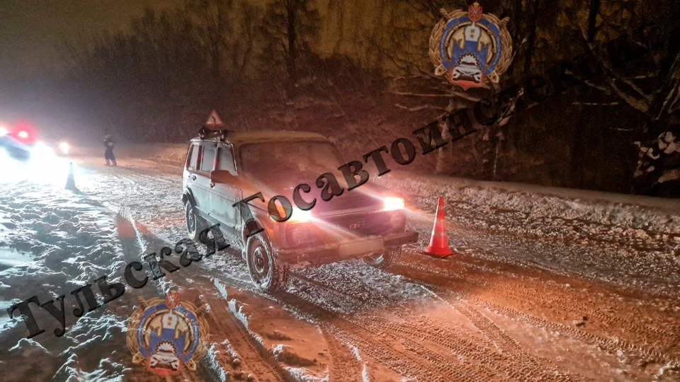 На трассе в Щекинском районе Тульской области сбили пешехода