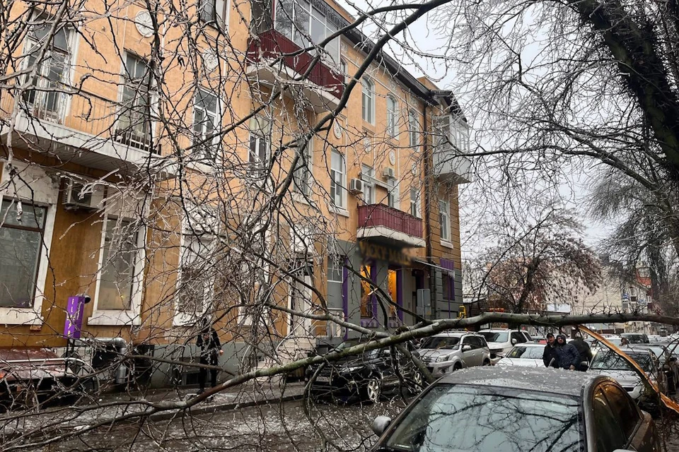 Рухнувшее дерево парализовало движение на улице Суворова в центре Ростова. Сообщения о таких ЧС приходят из разных районов города.