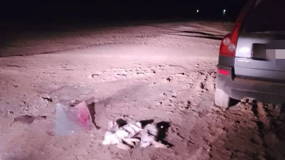 В Саратовской области у охотника-нарушителя изъяли ружье полицейского (фото: регионый комитет охотничьего хозяйства и рыболовства)