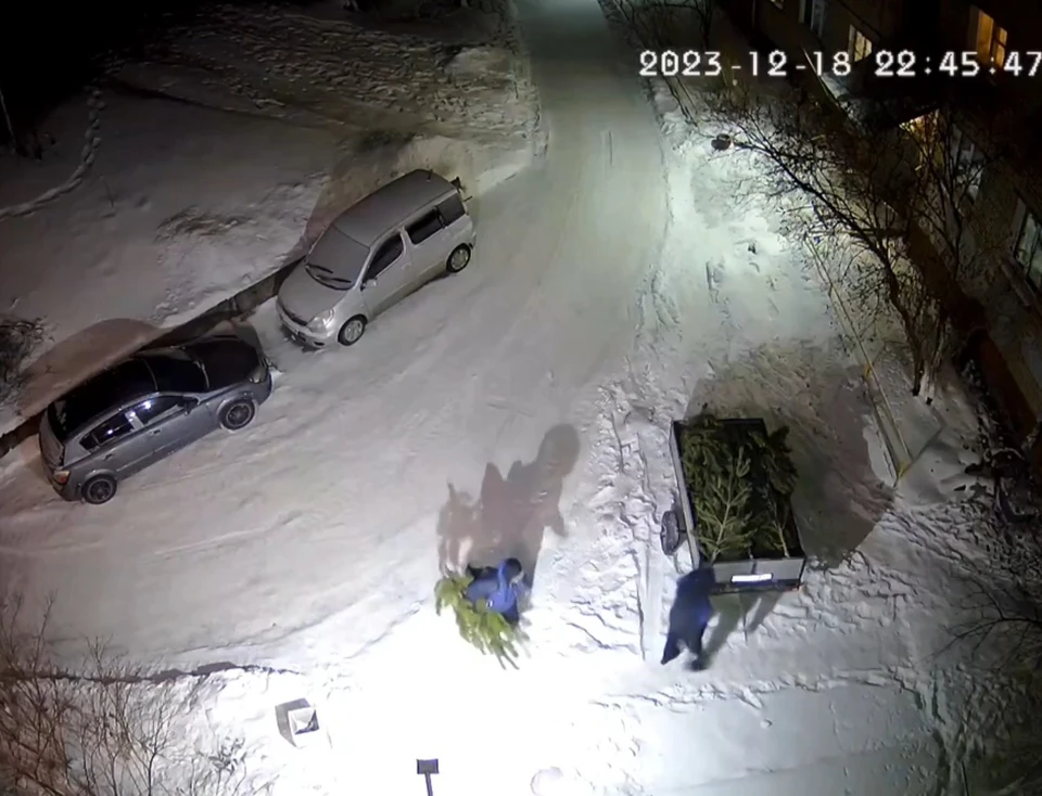 Нарушители попали в объектив камеры видеонаблюдения. Фото: ГУ МВД по Челябинской области