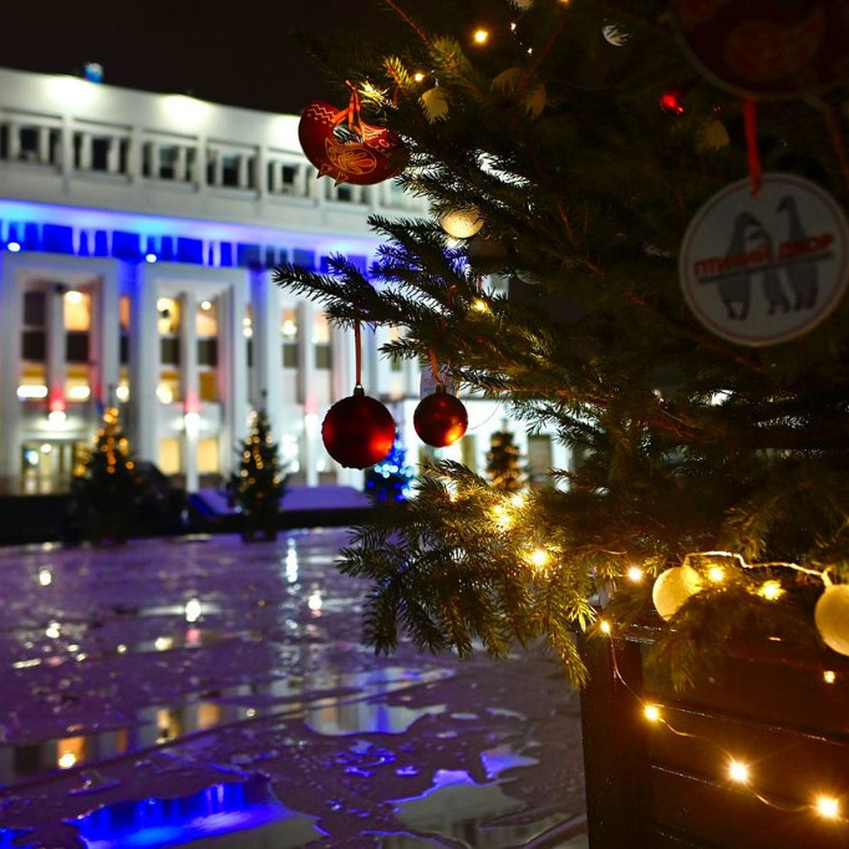 В Тамбове открыли парад новогодних елок - KP.RU