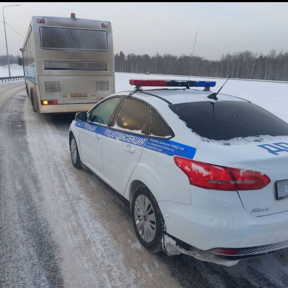 В Тюменской области на федеральной трассе ограничили движение транспорта  из-за смертельного ДТП - KP.RU