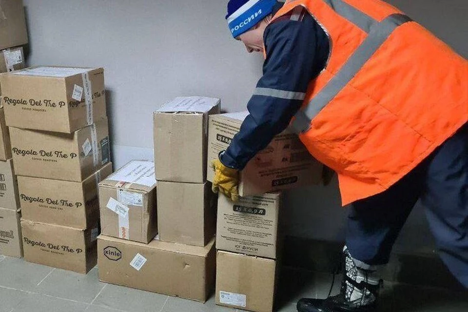 Специалисты Карельского института составили и согласовали списки литературы. ФОТО: ЕР