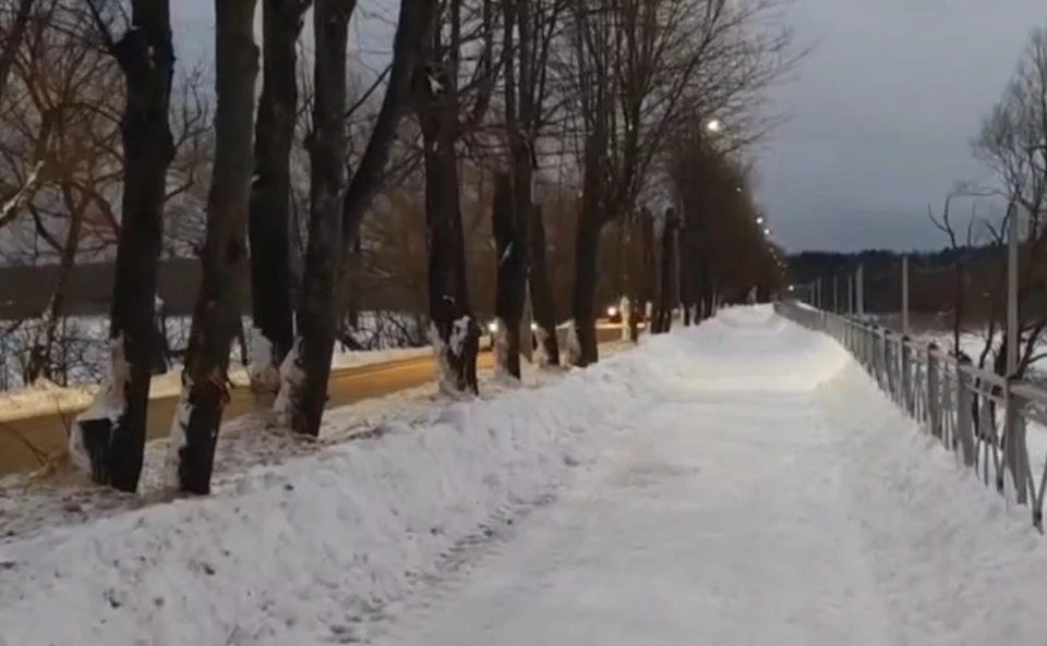 скрин с видео из соцсетей губернатора Александра Авдеева