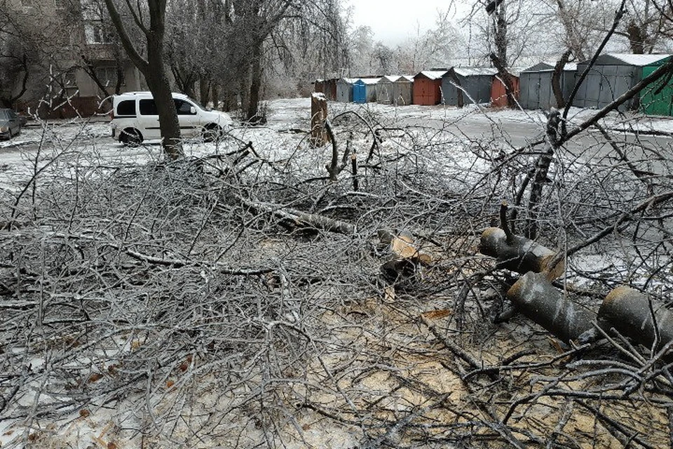 От обледенения в городах, поселках и на трассах образовались завалы от упавших веток и деревьев