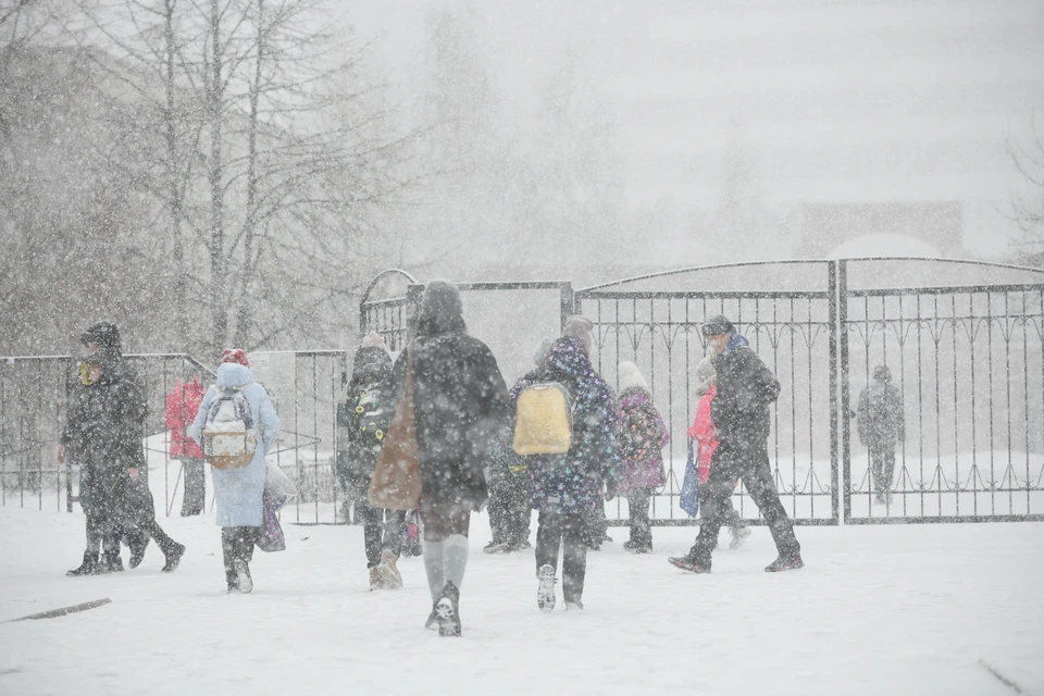 Может в школу в этом году больше и не стоит ходить?