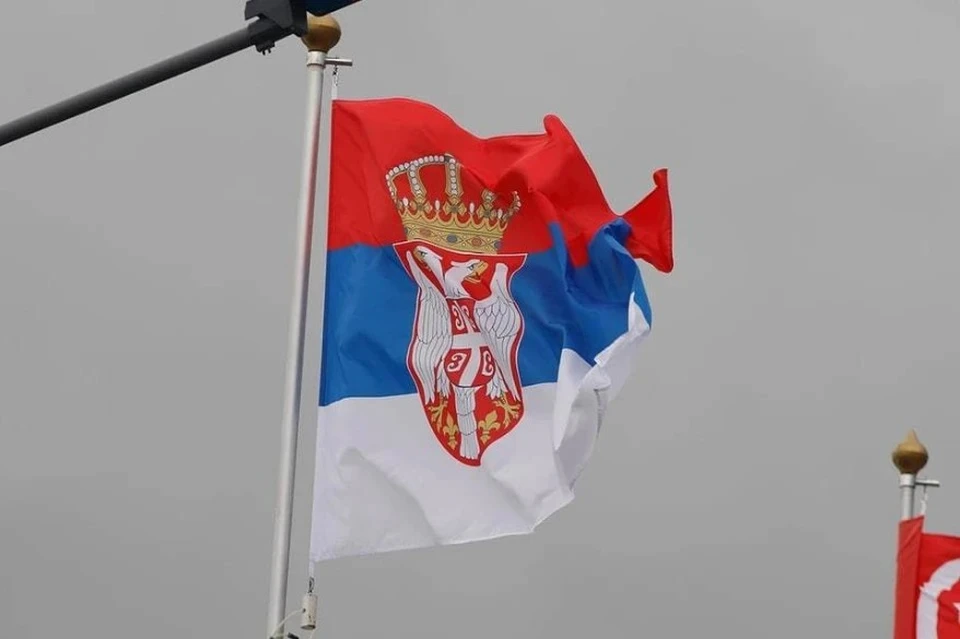 Экс-глава контрразведки Сербии Вулин: Россия помогла сохранить порядок в стране