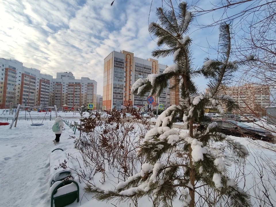 Будет дуть юго-западный ветер со скоростью 5-10 метров в секунду. Фото: Анна Ковалева