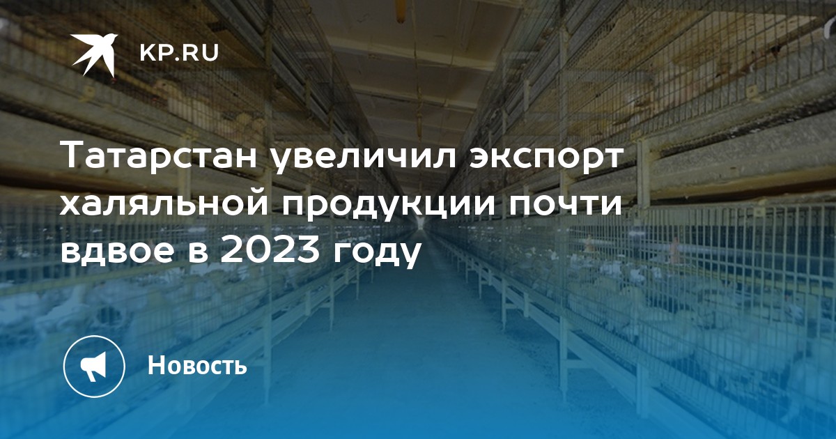 Как отдыхает татарстан в ноябре 2023