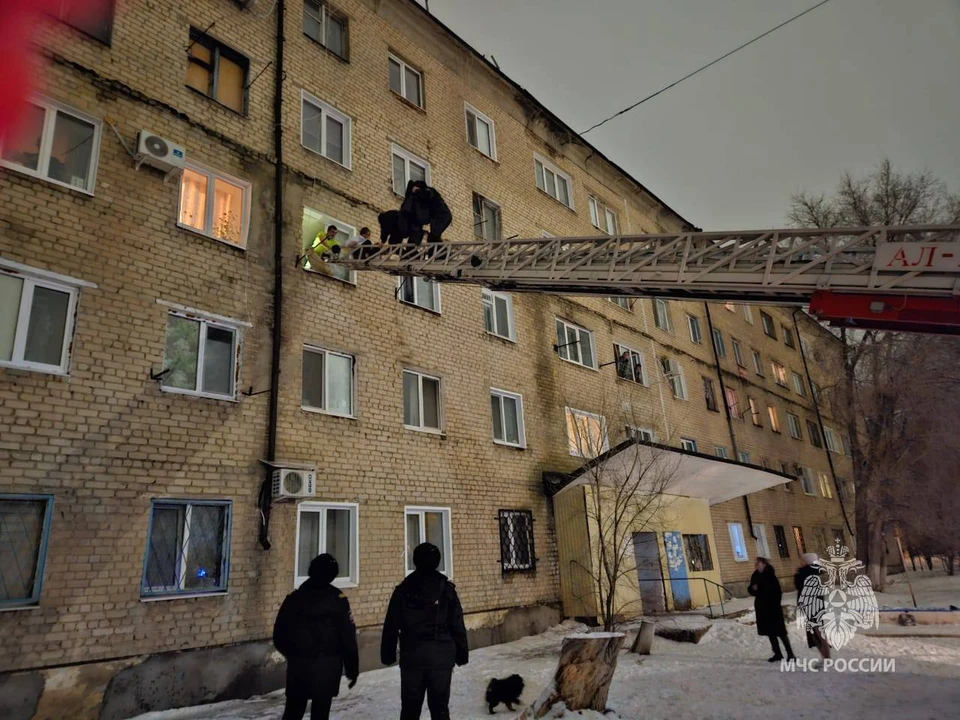 Все остались живы и здоровы