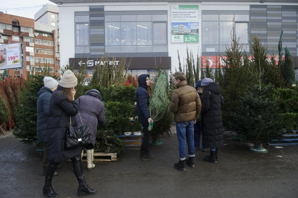 Нераспроданные хвойные деревья развезли в городские храмы.