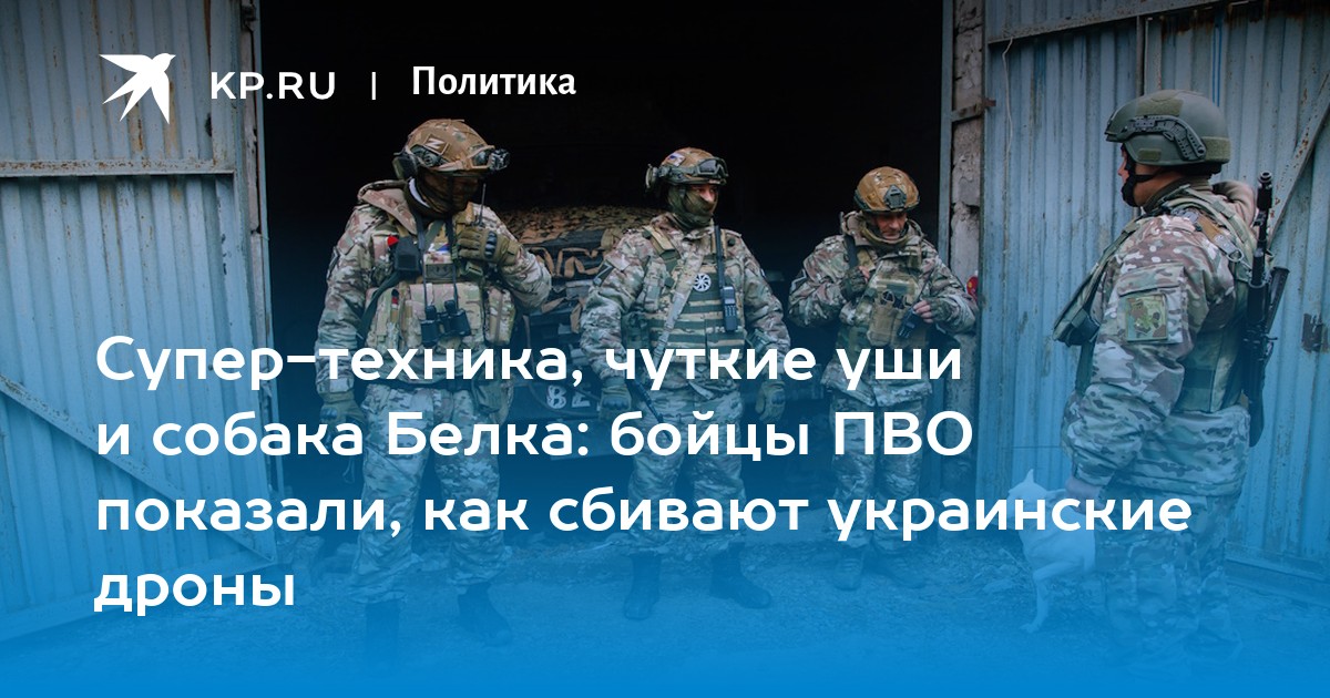 Супер-техника, чуткие уши и собака Белка: бойцы ПВО показали, как ...