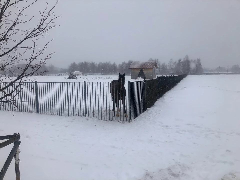 Ближнее село