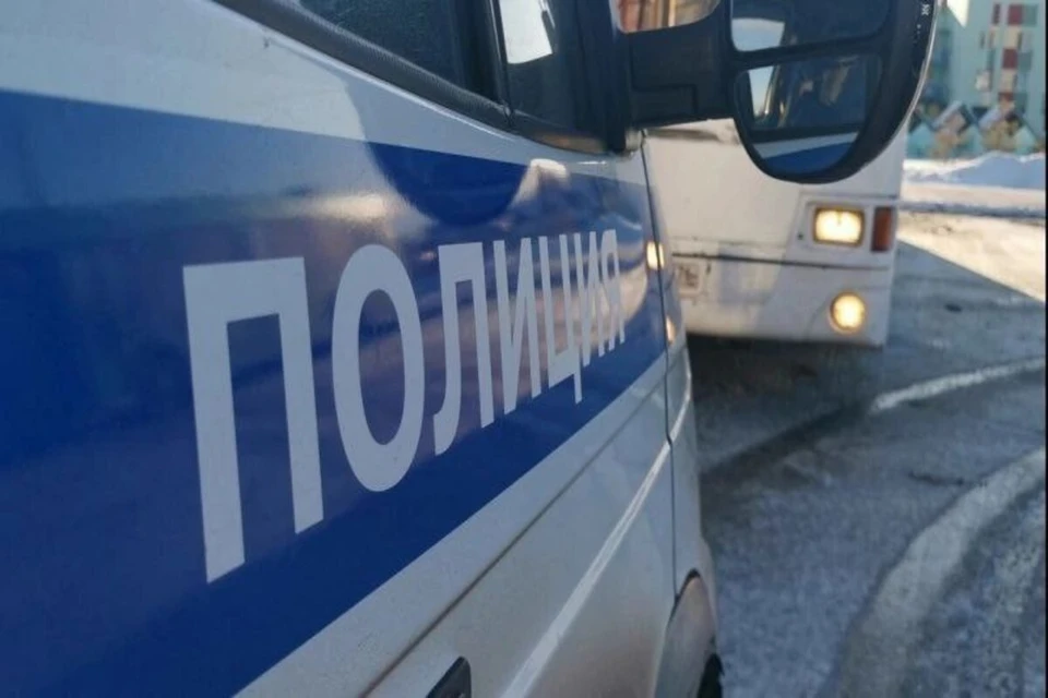 Автоинспекторы предупредили об опасностях нелегальных перевозок. Фото: ГИБДД по Красноярскому краю