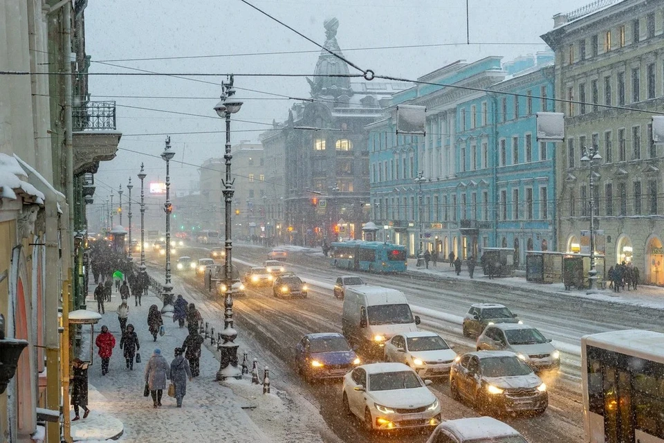 Мокрый снег пройдет в Петербурге 9 января.