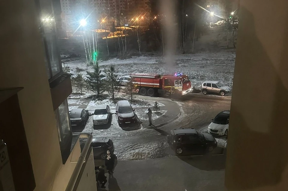 Пожар произошел в ЖК на улице Васильевской.