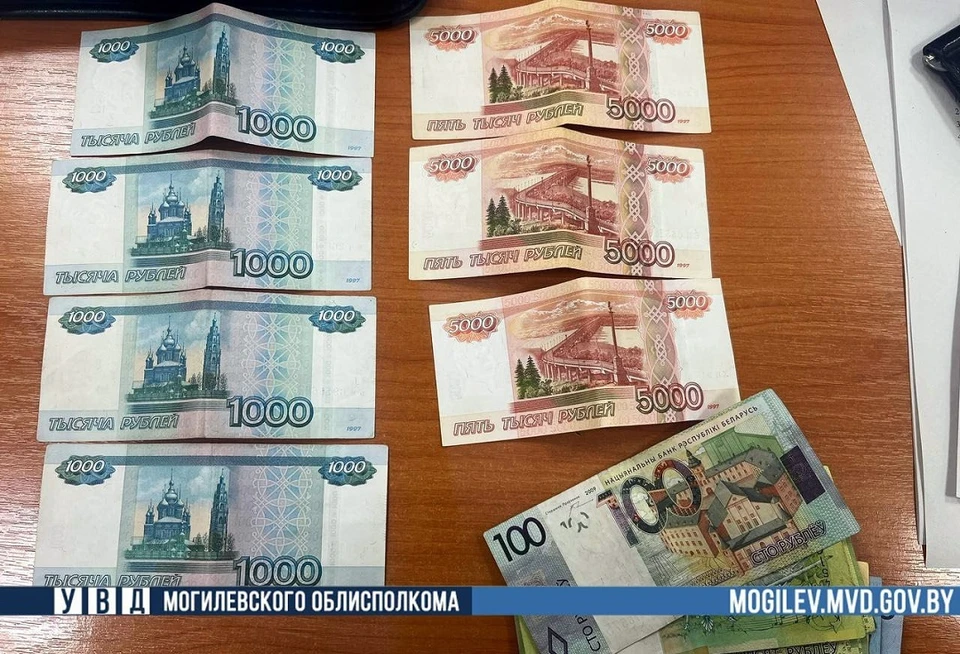 В Могилеве старый друг обокрал приятеля. Фото: УВД Могоблисполкома.