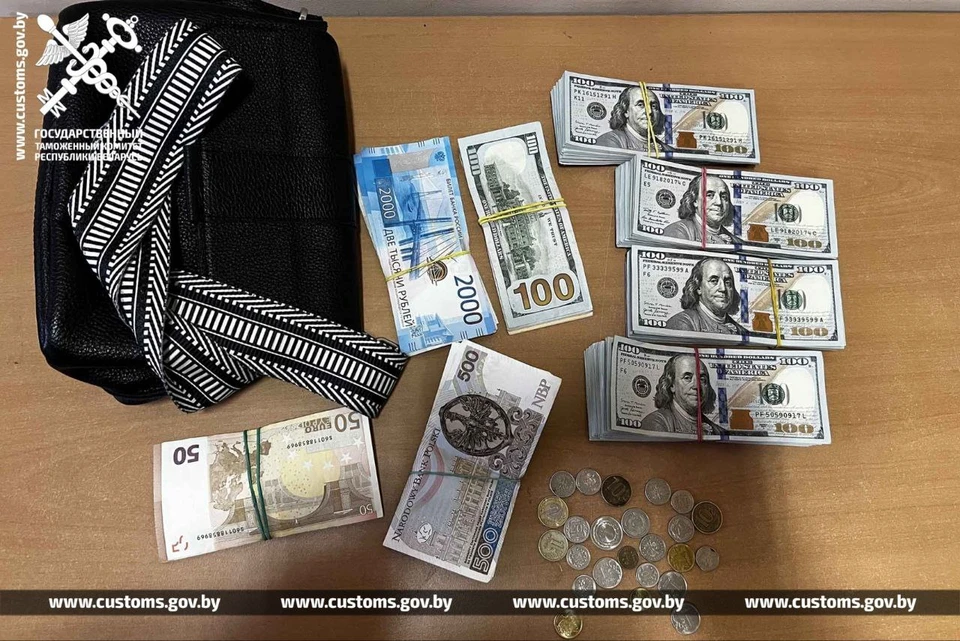 В ГТК сказали про гражданку Украину, которая пыталась ввезти в Беларусь 42 000 долларов. Фото: Государственный таможенный комитет Беларуси