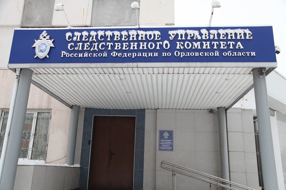 Фото: пресс-служба СУ СК России по Орловской области