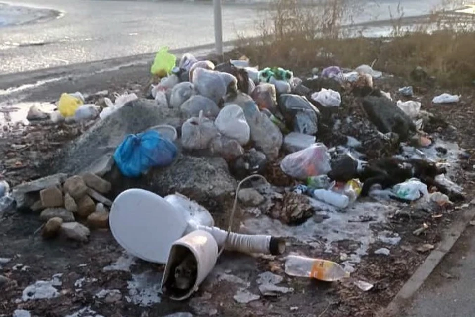 В Жаркенте горожане обеспокоены проблемой с мусором во дворах домов и на улицах.