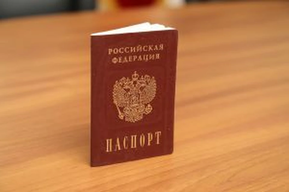 В Смоленске двух мигрантов отправят на родину за наркоторговлю и применение физической силы к полицейскому