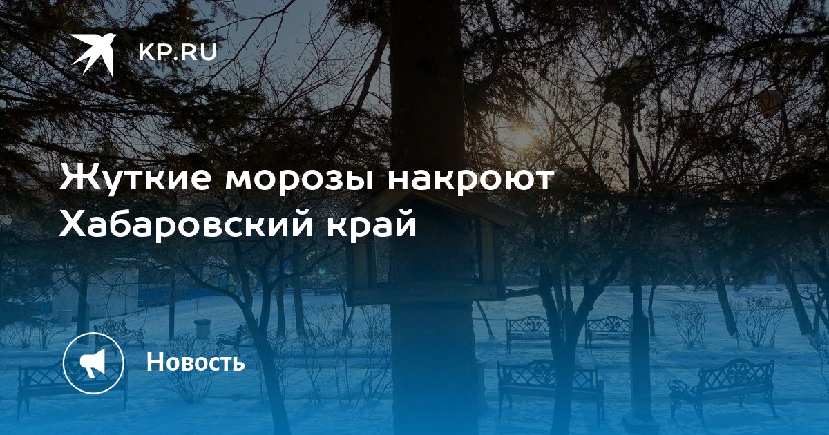 Все живое накрыло морозом