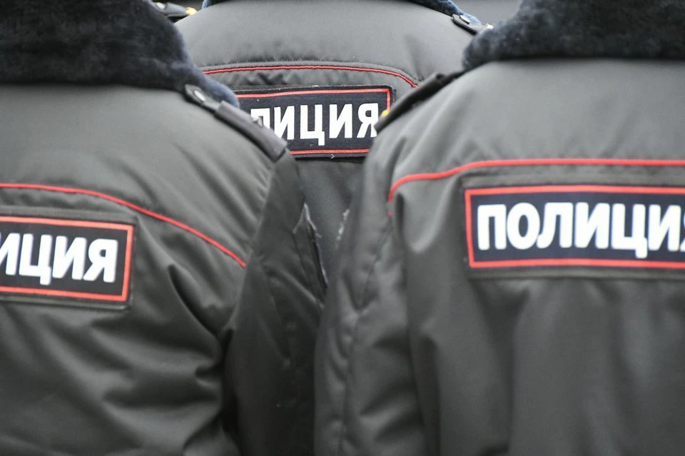 В Туле полицейские задержали подозреваемого в краже продуктов и алкоголя