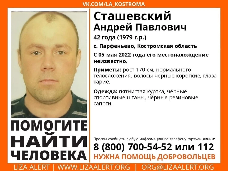 Фото: ДПСО "Лиза Алерт" Костромской области