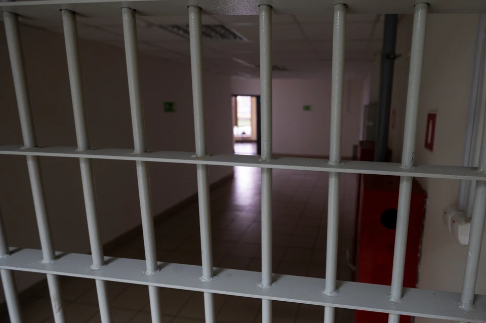 Полиция задержала подозреваемого в убийстве жительницы Ленобласти 20-летней давности.