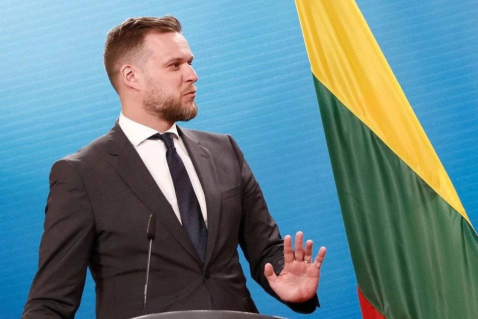 Глава МИД Литвы Габриелюс Ландсбергис