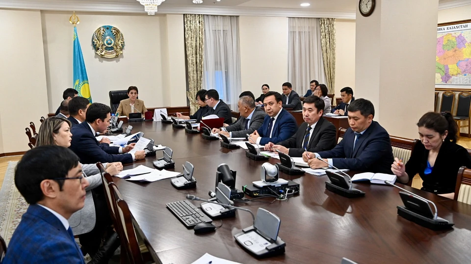 В совещании под председательством заместителя премьер-министра РК Тамары Дуйсеновой приняли участие вице-министры профильных ведомств и заместители акимов областей.