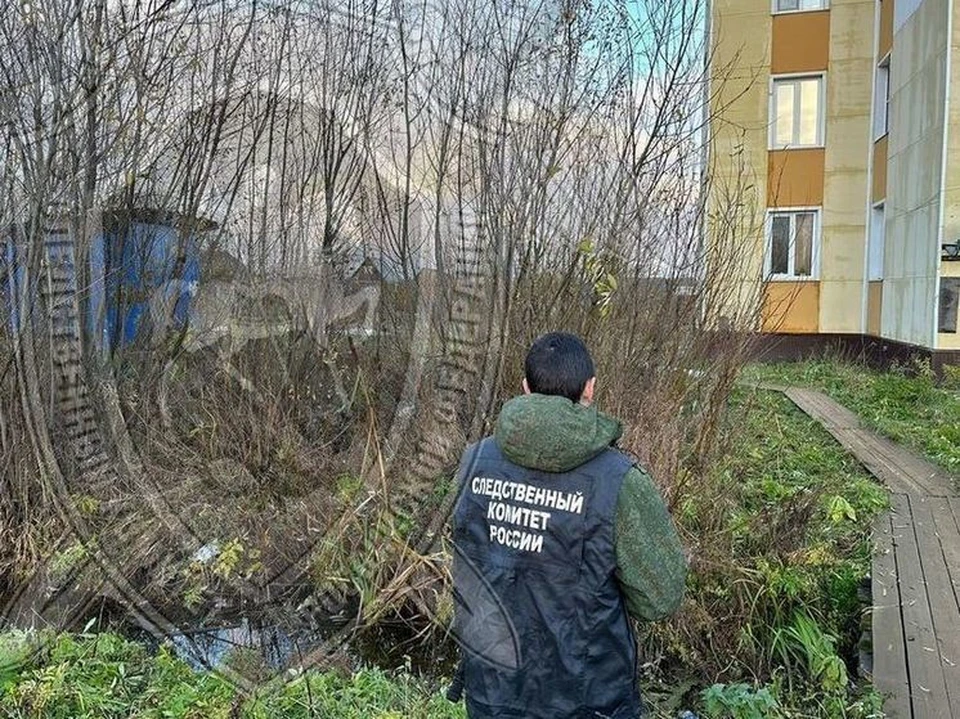 Фото: пресс-служба СУ СК России по Костромской области
