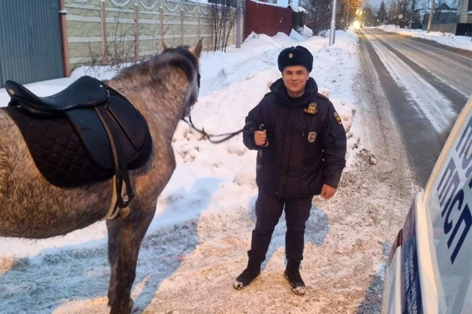 Стражи порядка увидели животное на улице Белякова. Фото: УМВД России по Екатеринбургу