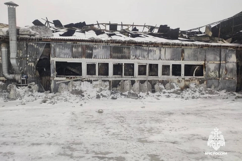 Пожарные назвали причину возгорания на заводе в Ярославской области.