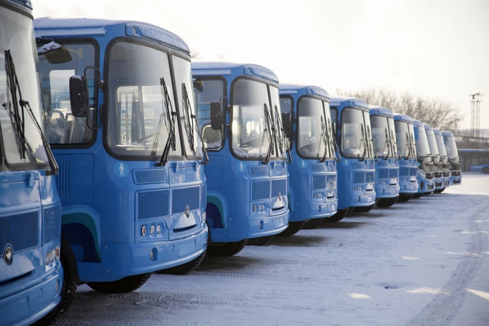 Новые автобусы пришли в Кузбасс. Фото - АПК.