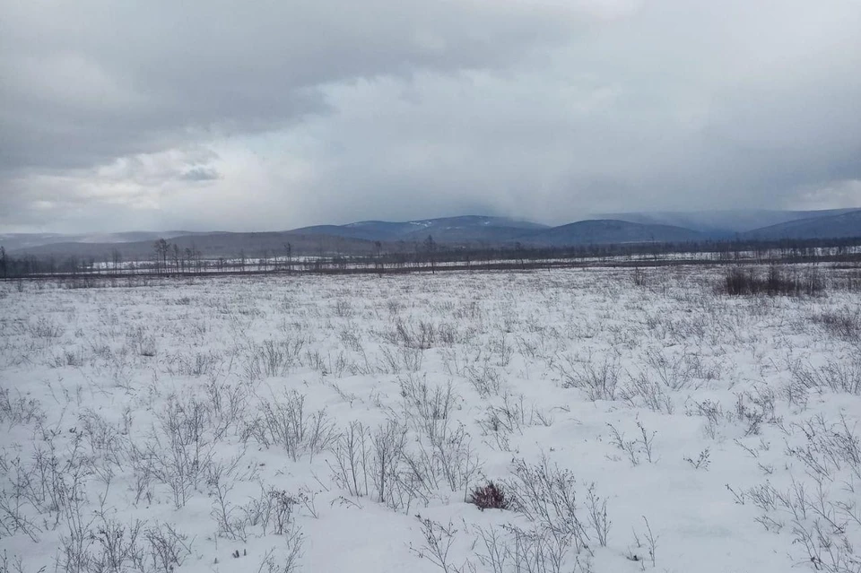 Зимний пейзаж Березовского заказника. Фото: @amuroopt