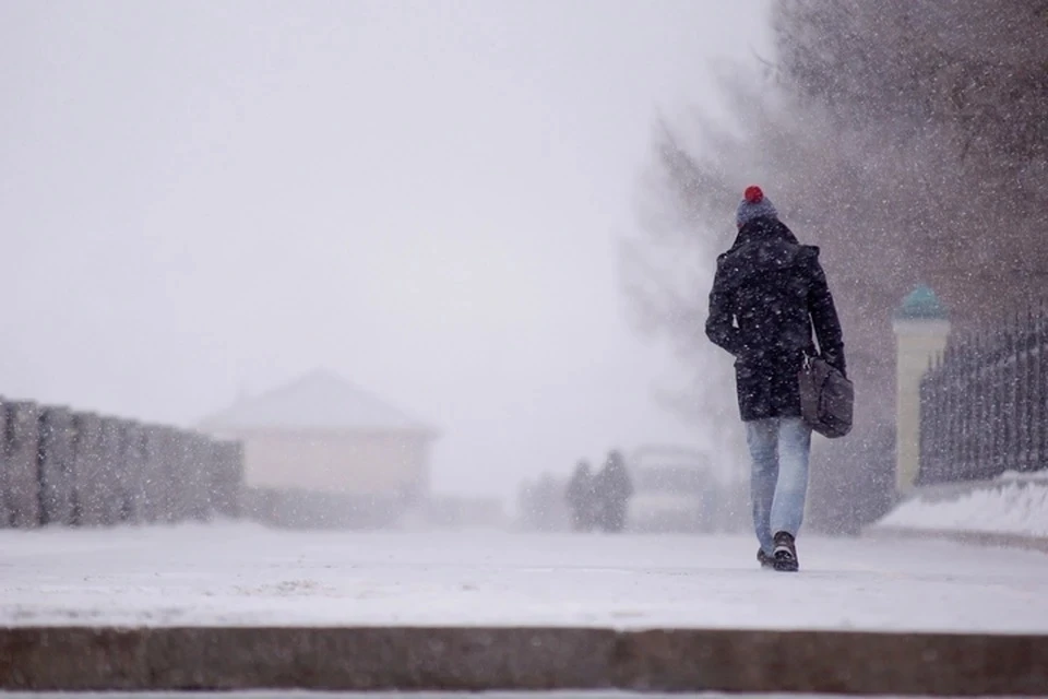 Снег, сильный ветер и плюсовая температура ожидаются в Москве 4 февраля