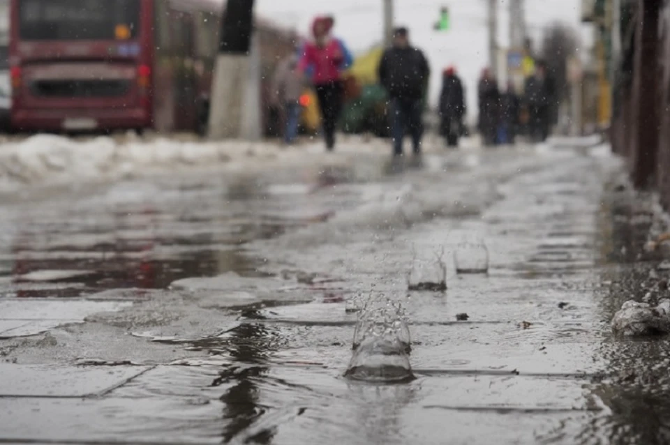 Кратковременный дождь и порывистый ветер ожидаются в Запорожской области под конец недели