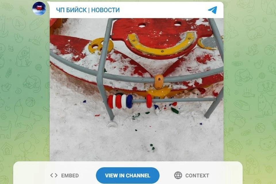Фото: скриншот с телеграм-канала «ЧП Бийск»
