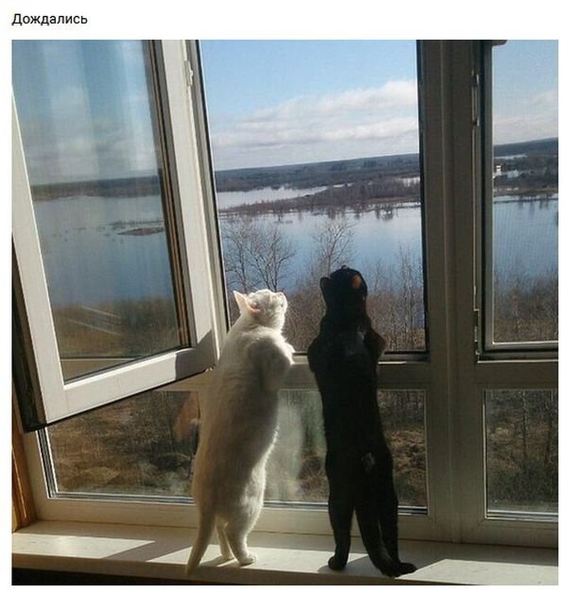 А за окном уже почти лето!