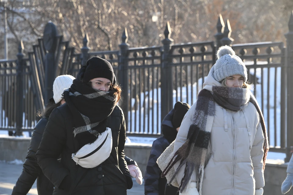 В Рязанской области прогнозируют до 22 градусов мороза