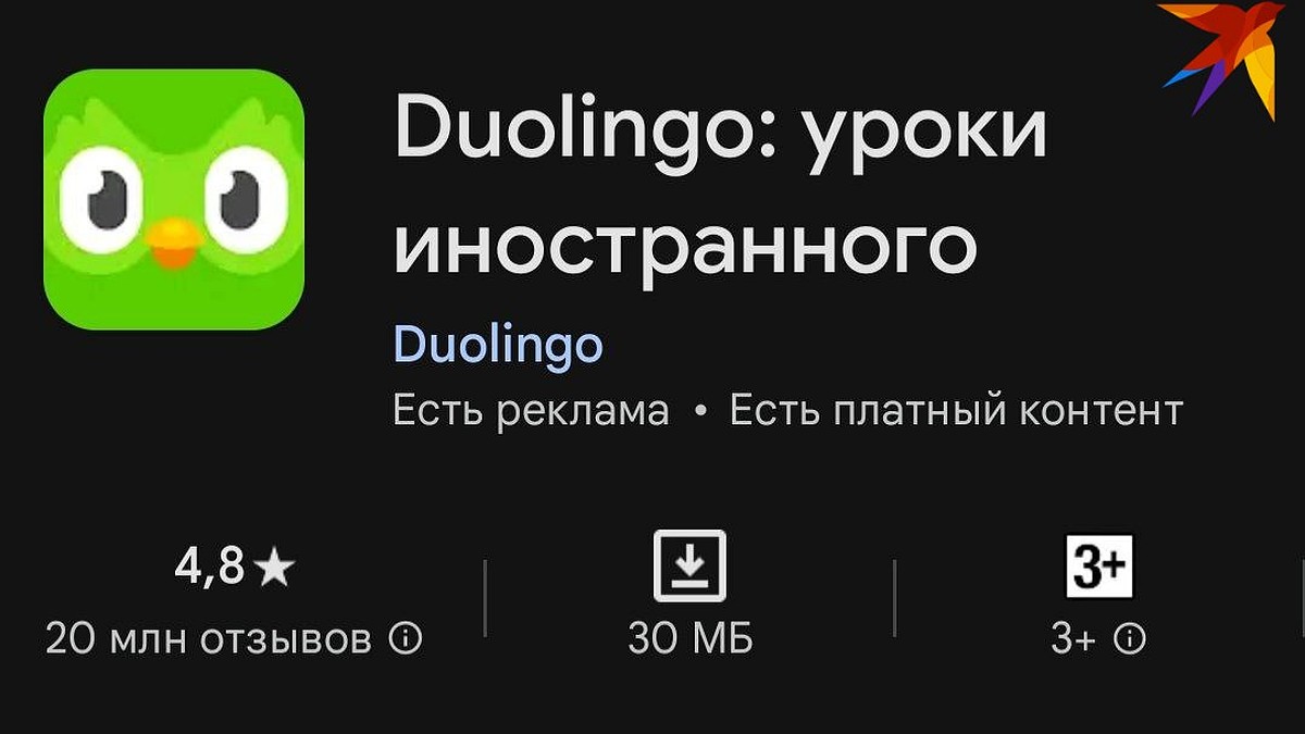 Роскомнадзор проверяет популярное у белорусов приложение Duolingo на  ЛГБТ*-пропаганду - KP.RU