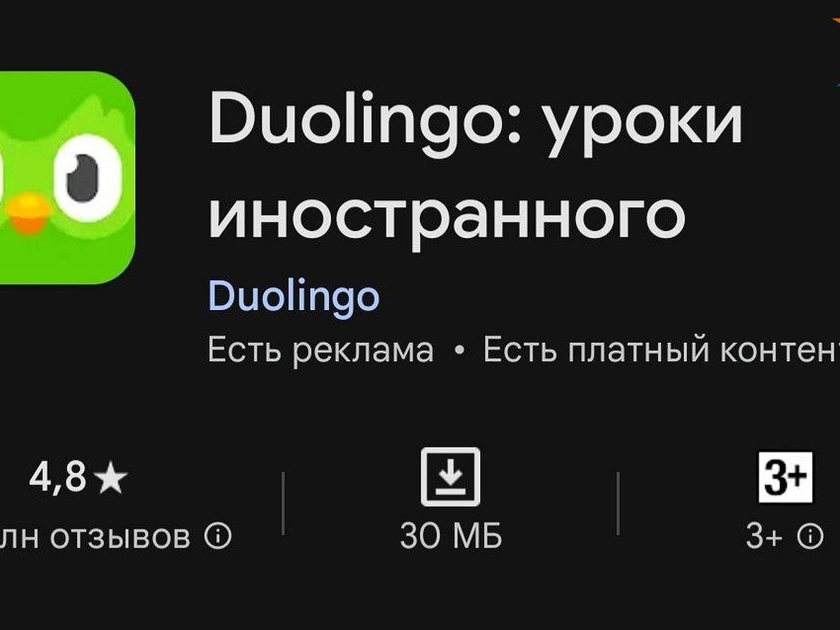 Роскомнадзор проверяет популярное у белорусов приложение Duolingo на  ЛГБТ*-пропаганду - KP.RU