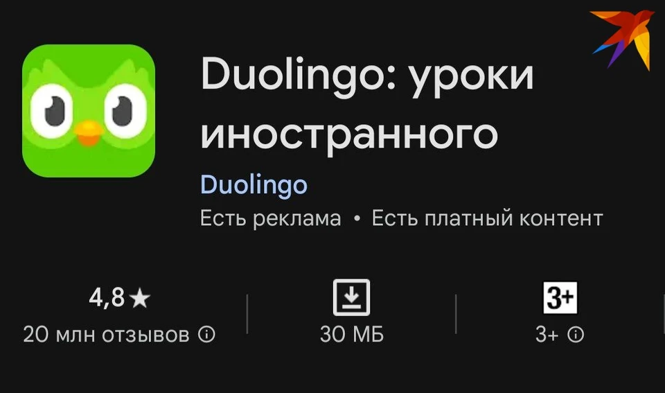 Роскомнадзор проверяет популярное у белорусов приложение Duolingo. Фото: архив, носит иллюстративный характер.